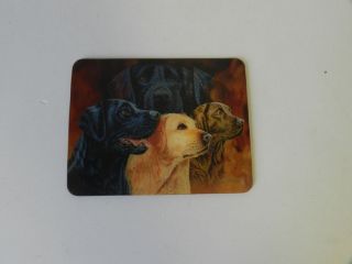 Obrázek z Magnet 3D 7x9cm - pes labrador (25) 